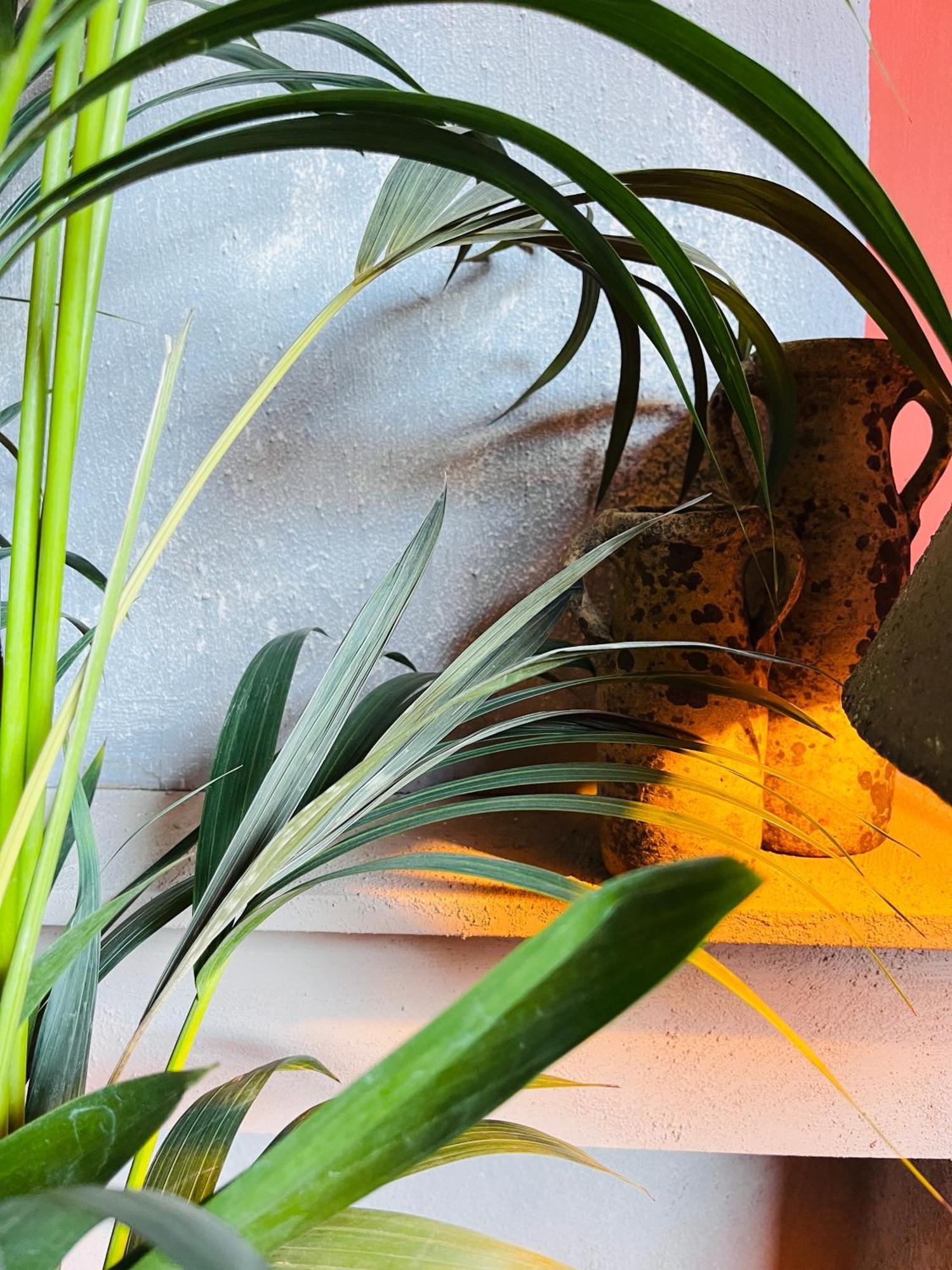 Guesthouse Nights By Morpheus Anvers Exterior foto